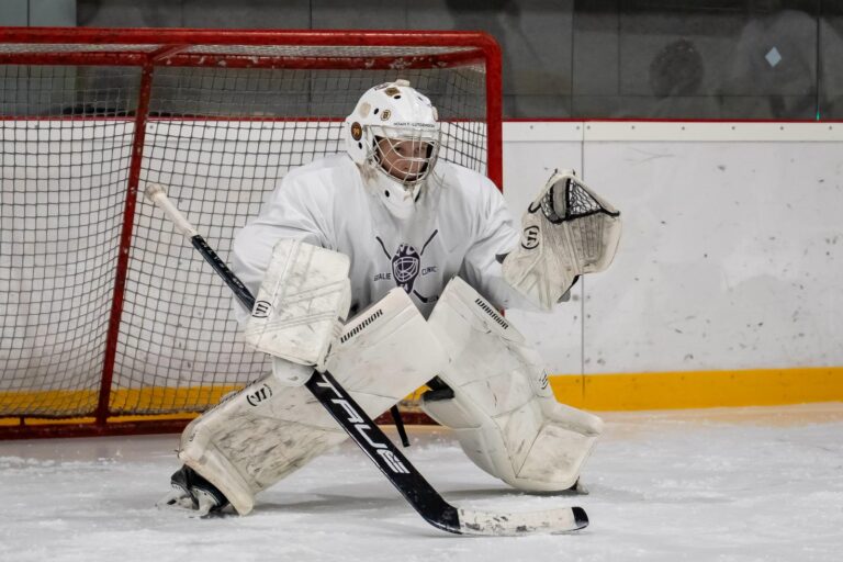Goalie Clinic Training